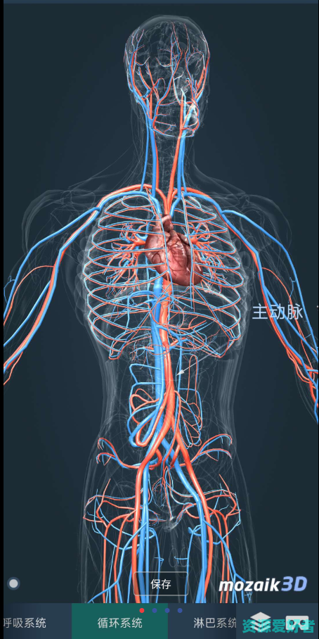 人体3d解剖图，能掌握最新的解剖信息